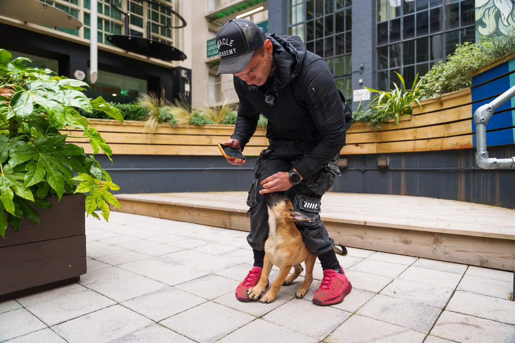 Andrejus practising street obedience with a working dog near steps in Birmingham