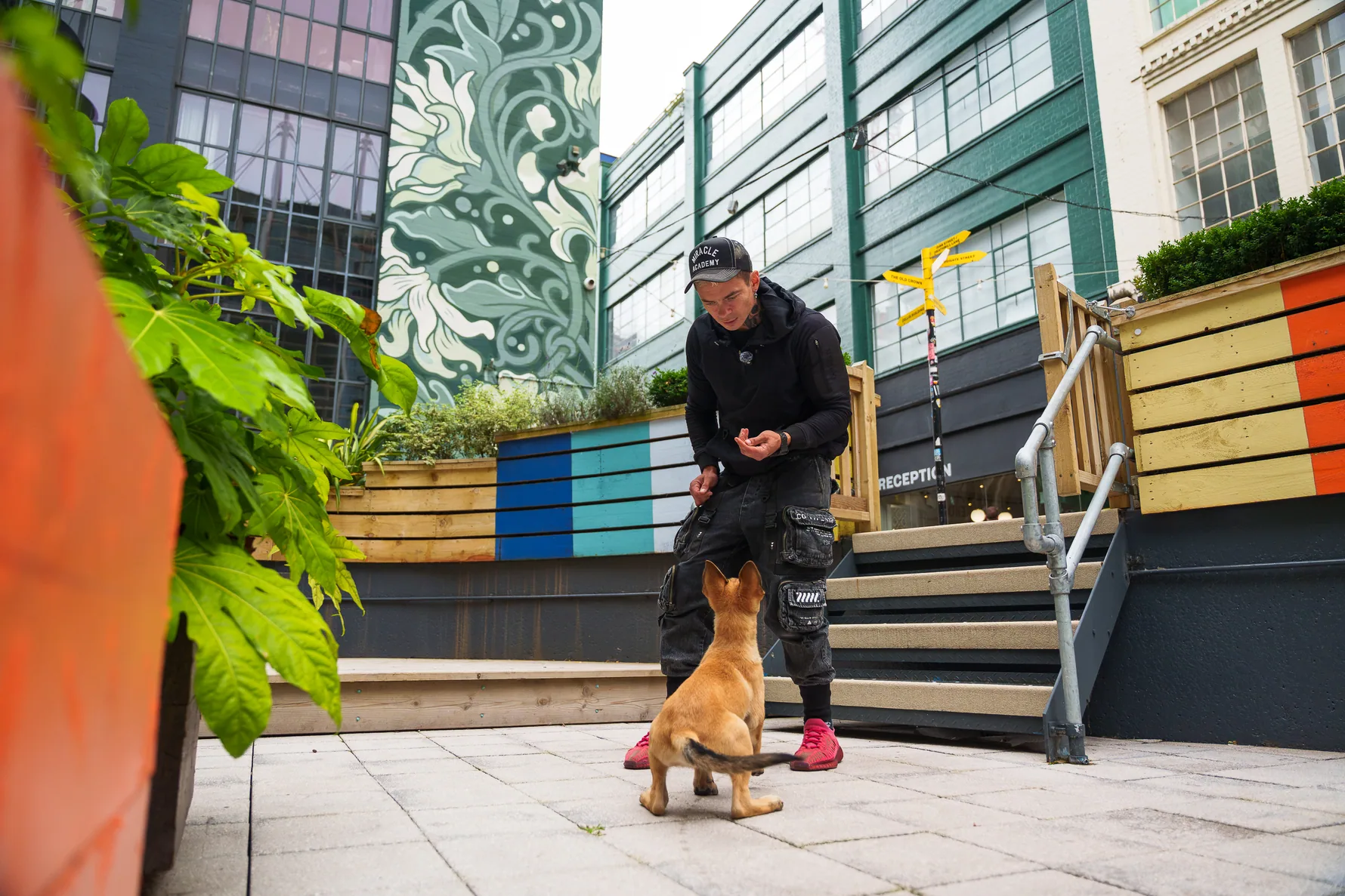 Andrejus guiding a working dog down city steps