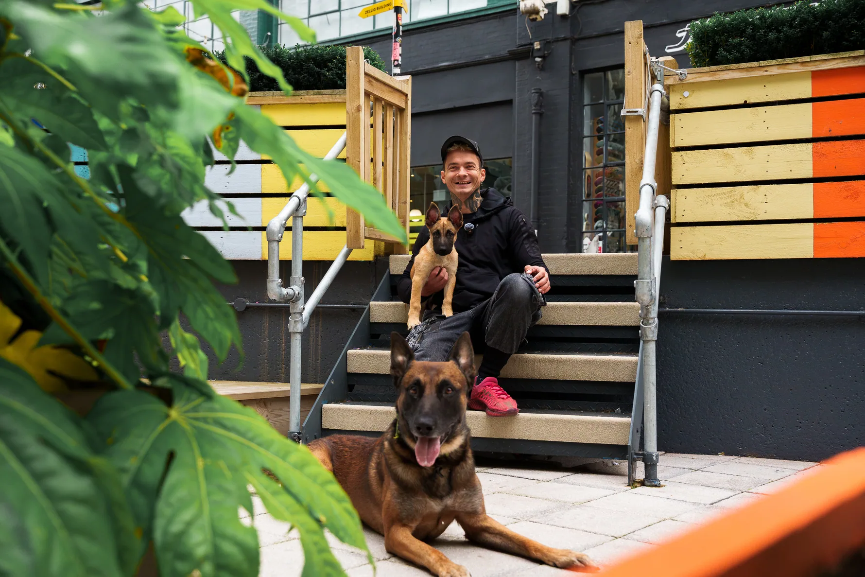Andrejus and his working dogs resting on steps amid city centre greenery