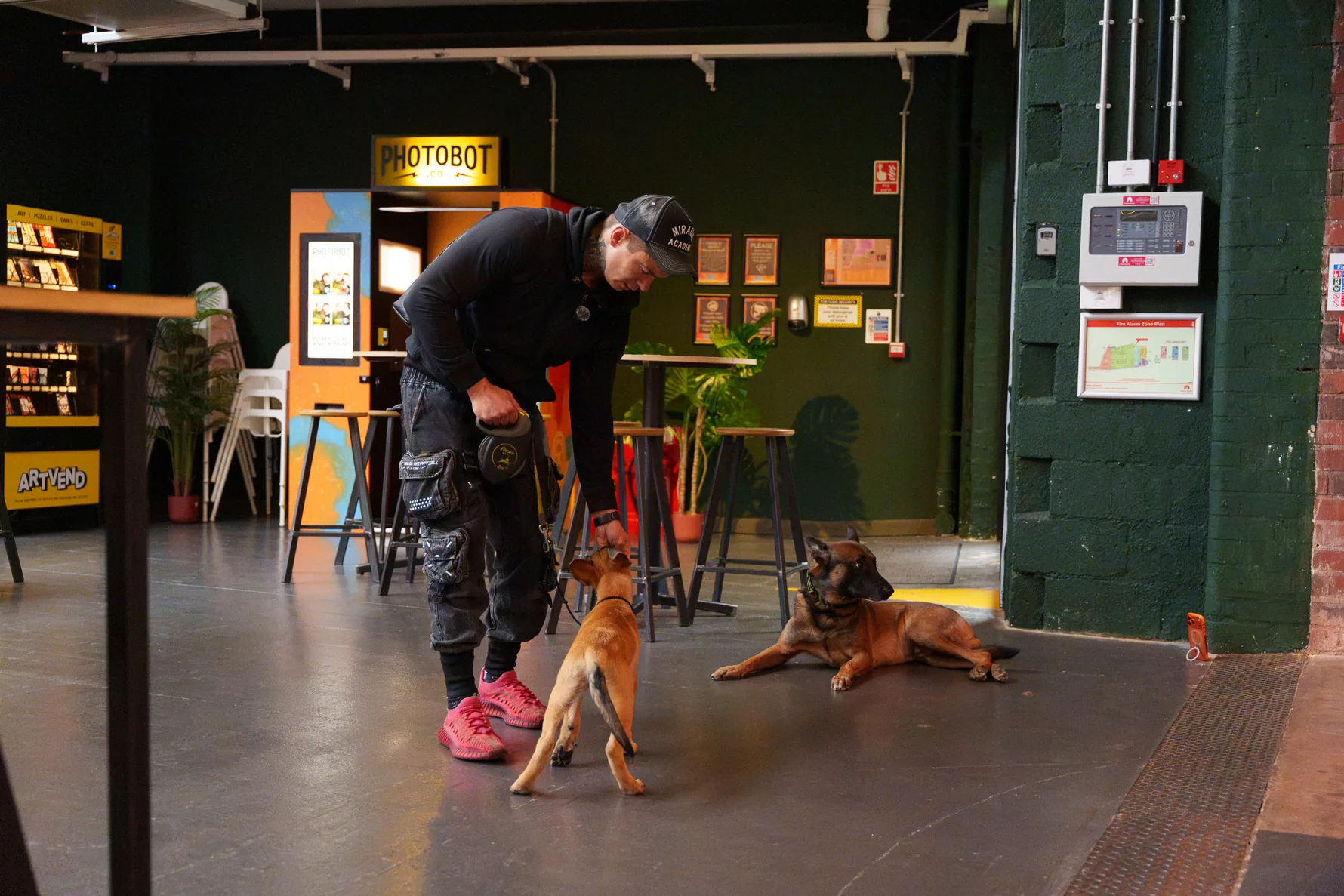 Close-handling exercise with a working dog in a covered city centre courtyard