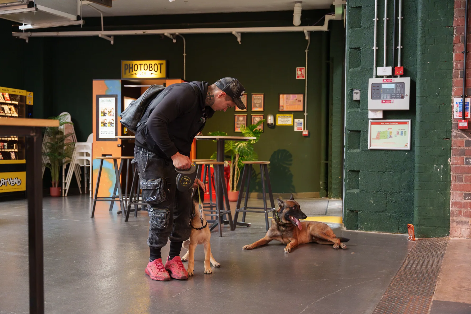 Working dog following Andrejus during an urban training exercise