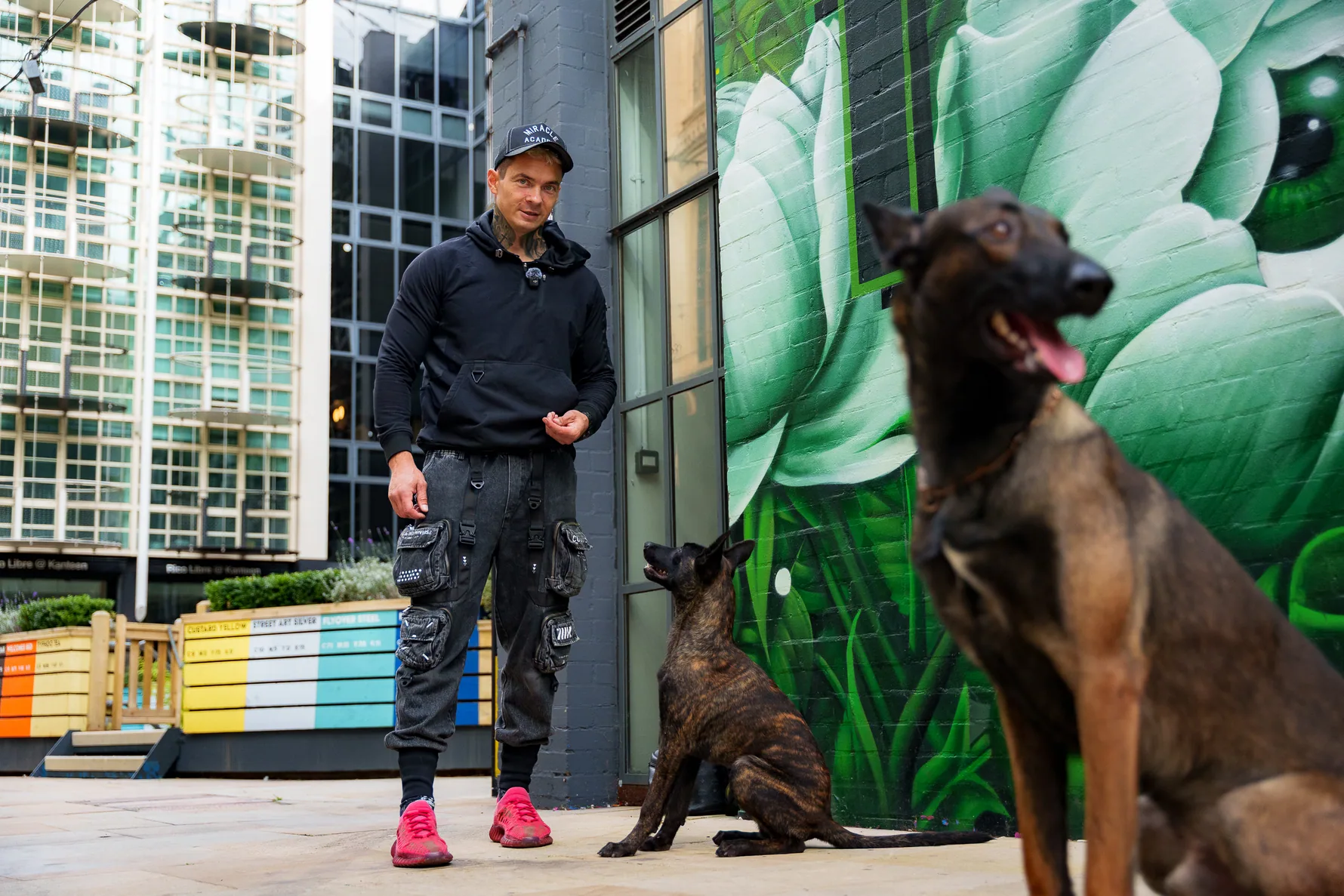Urban dog obedience session beside a colourful city-centre mural