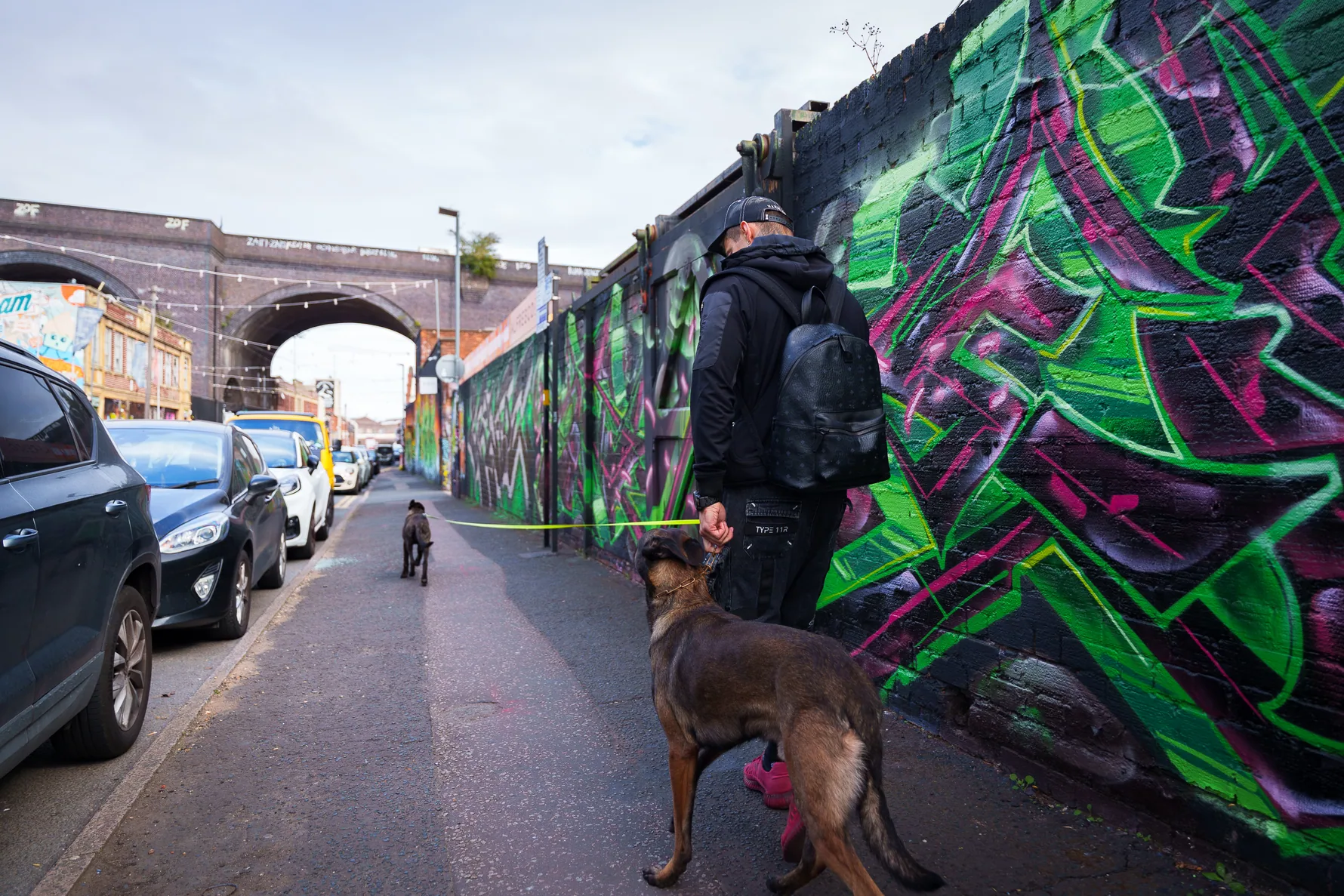 Working dog walking beside Andrejus near colourful urban street art
