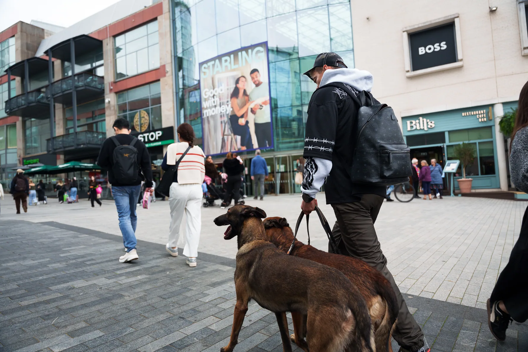 Andrejus walking with a working dog through a city shopping area