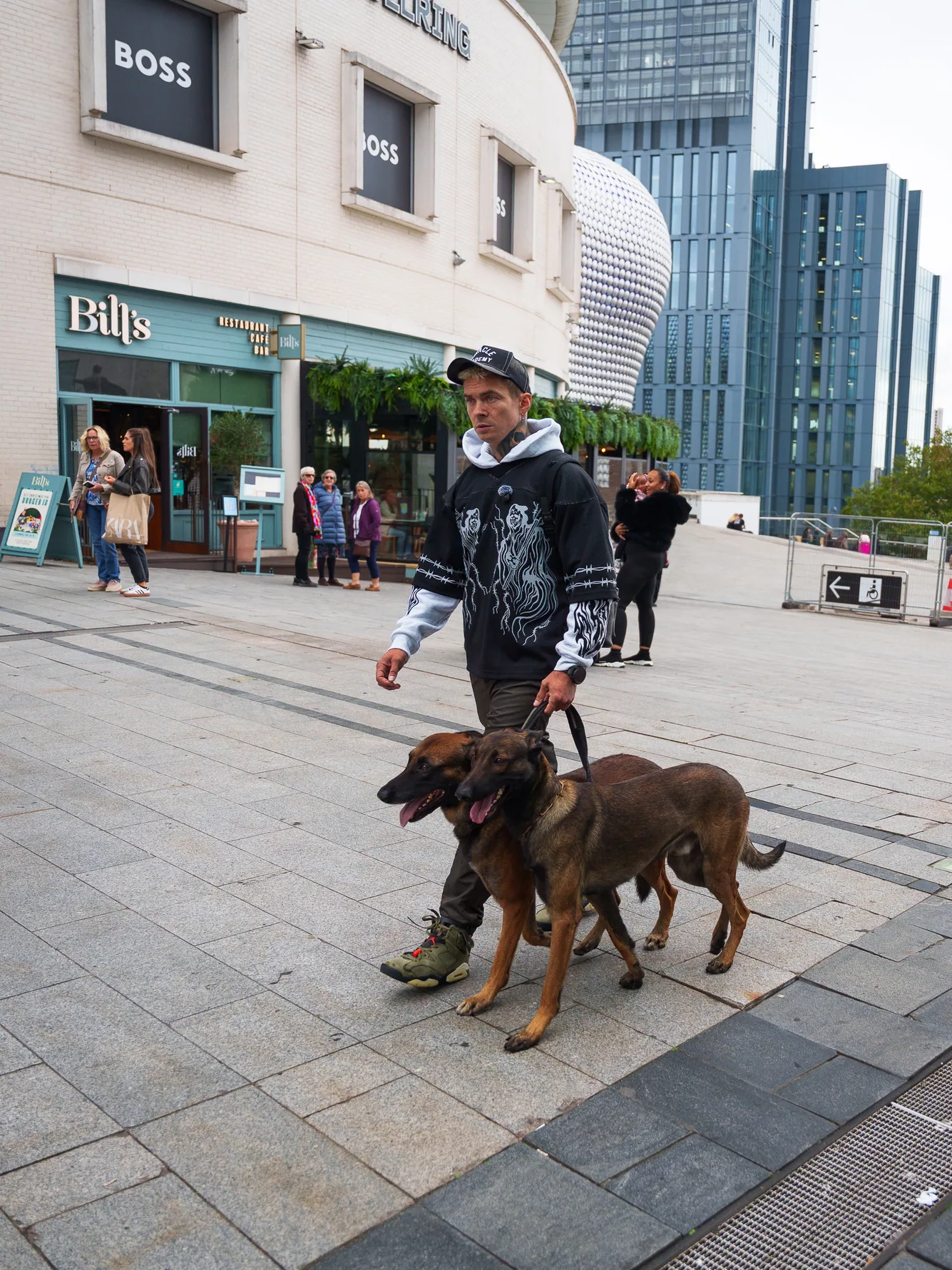 Training two working dogs to walk calmly together in Birmingham