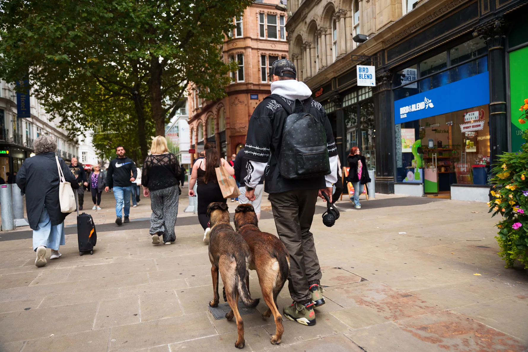 Close control of working dogs during an everyday city street walk