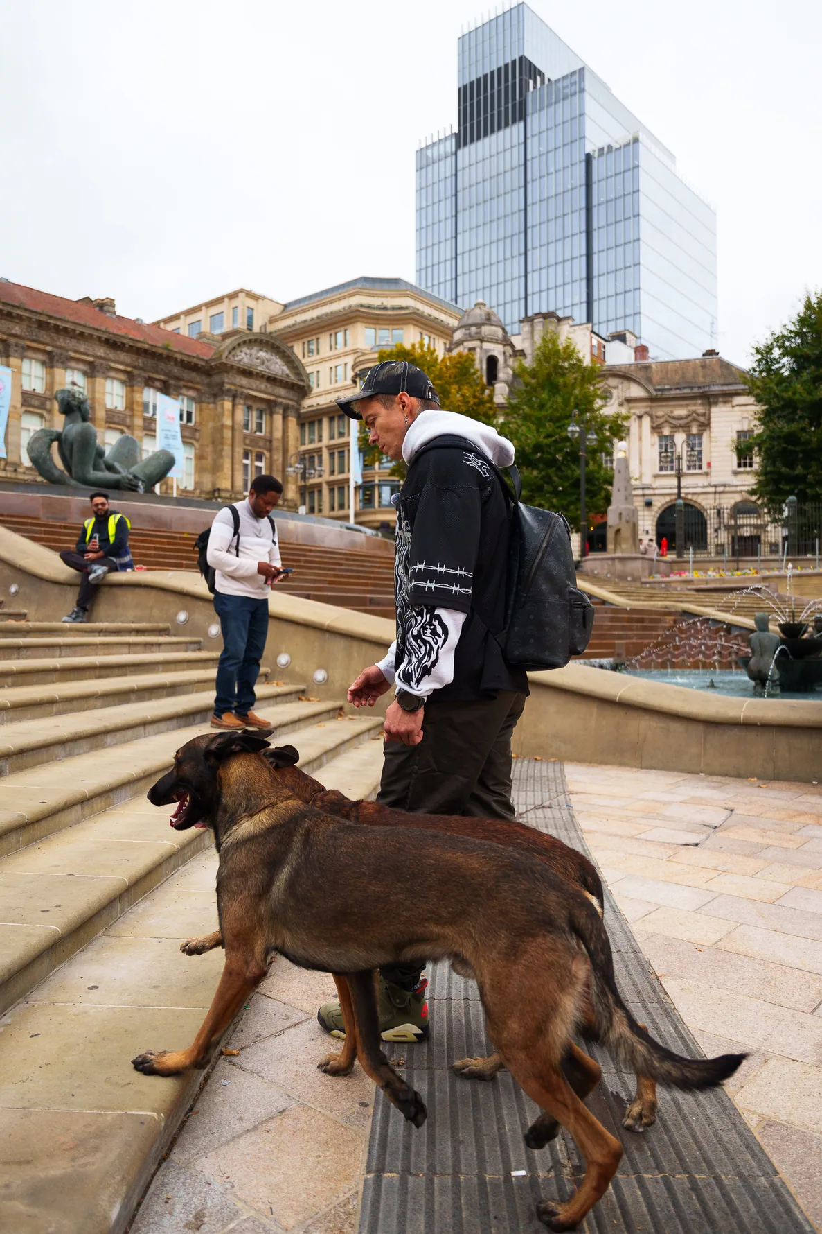 Dog following Andrejus along a raised city pedestrian walkway