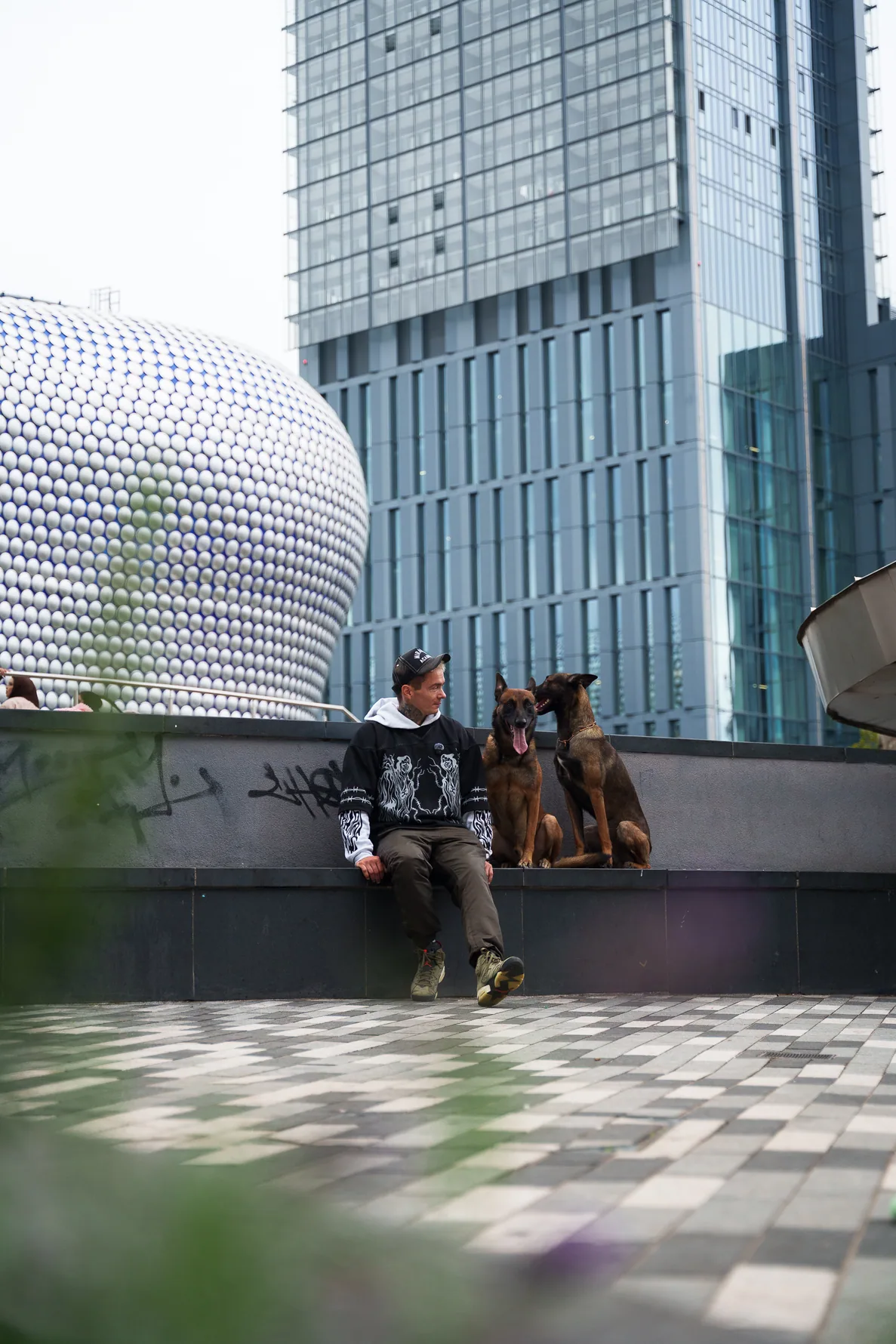Working dogs resting with Andrejus in a Birmingham public space