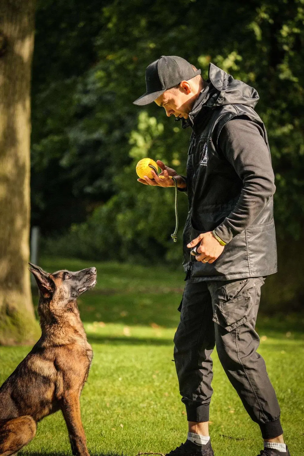 Trainer rewarding a focused working dog during obedience training