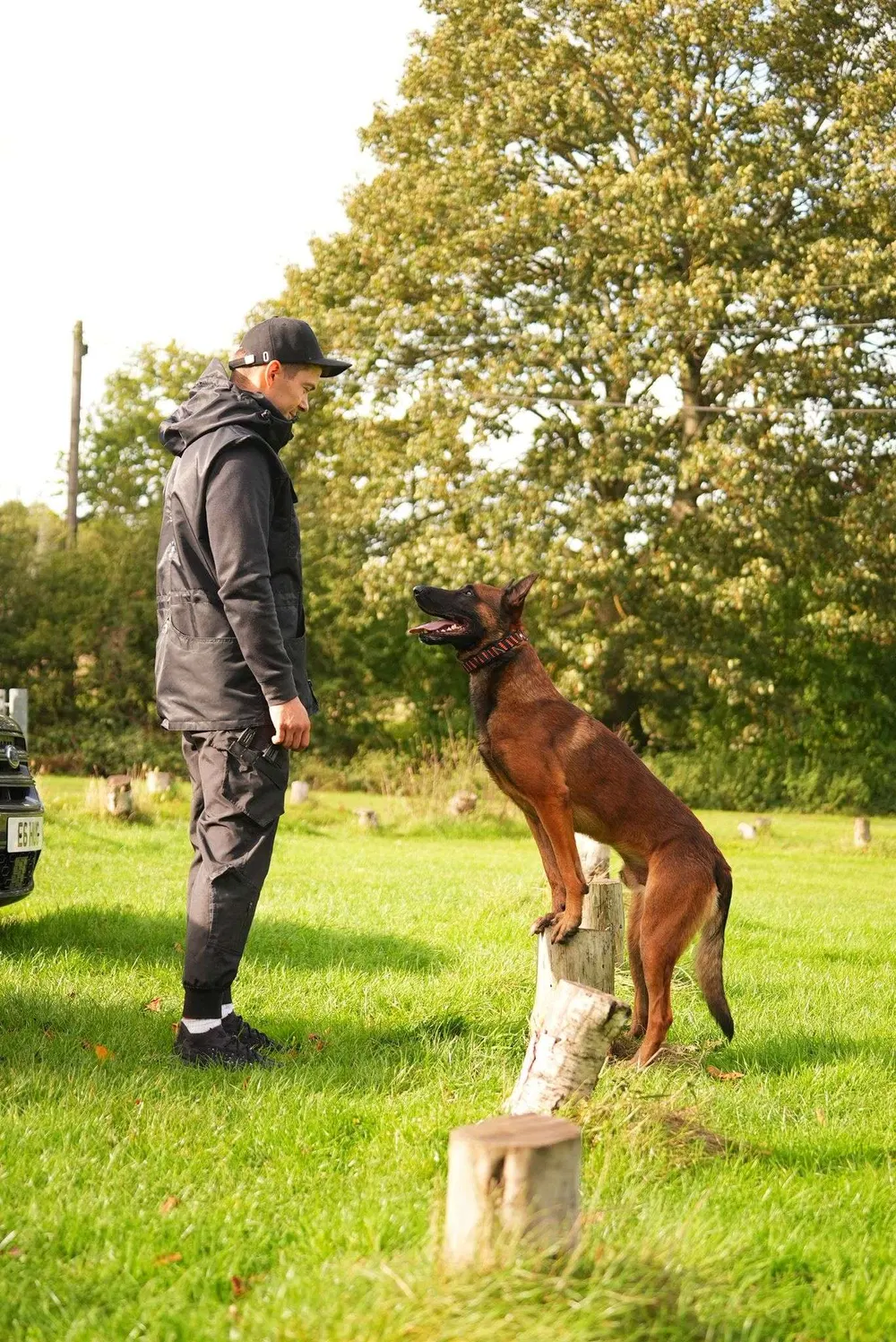 Trainer practising focus and control with a working dog in Birmingham