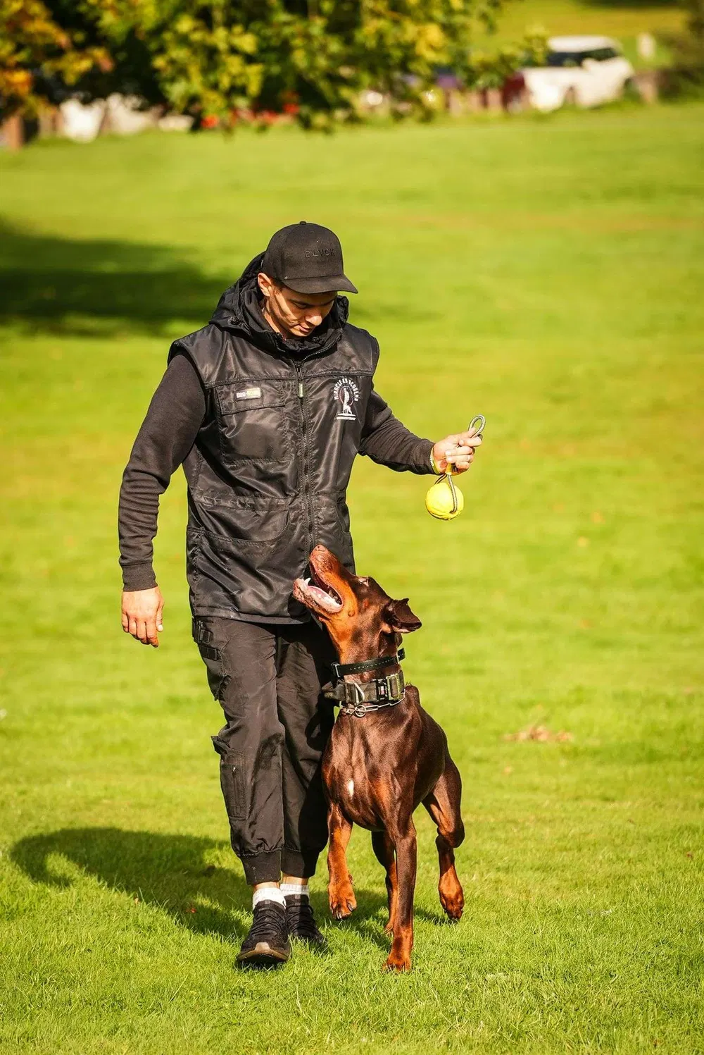 Dog and handler practising loose lead and focused movement