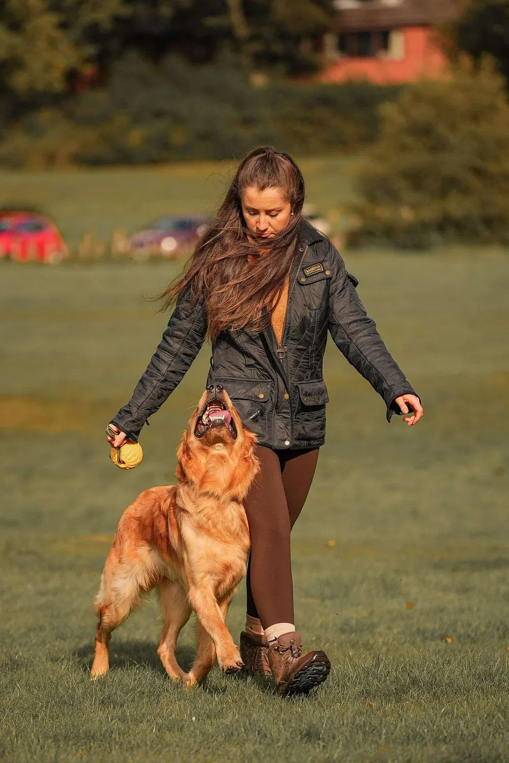 Handler working with a dog on an outdoor training field