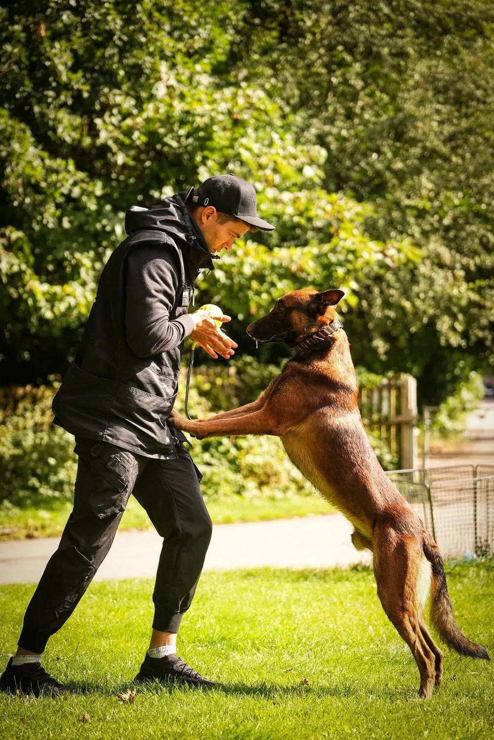 Trainer and working dog practising energetic engagement and movement