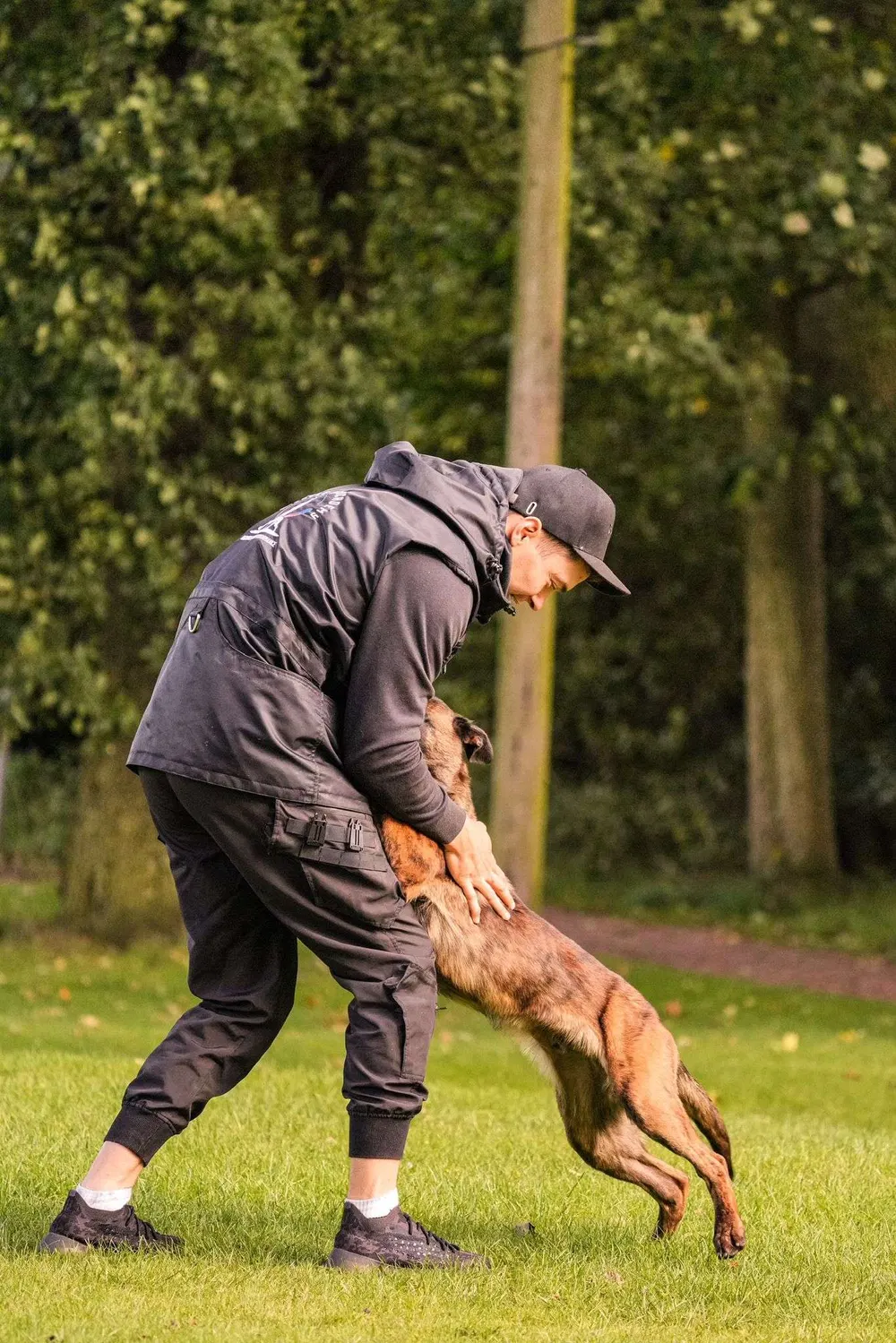 Handler rewarding a dog during focused training on grass